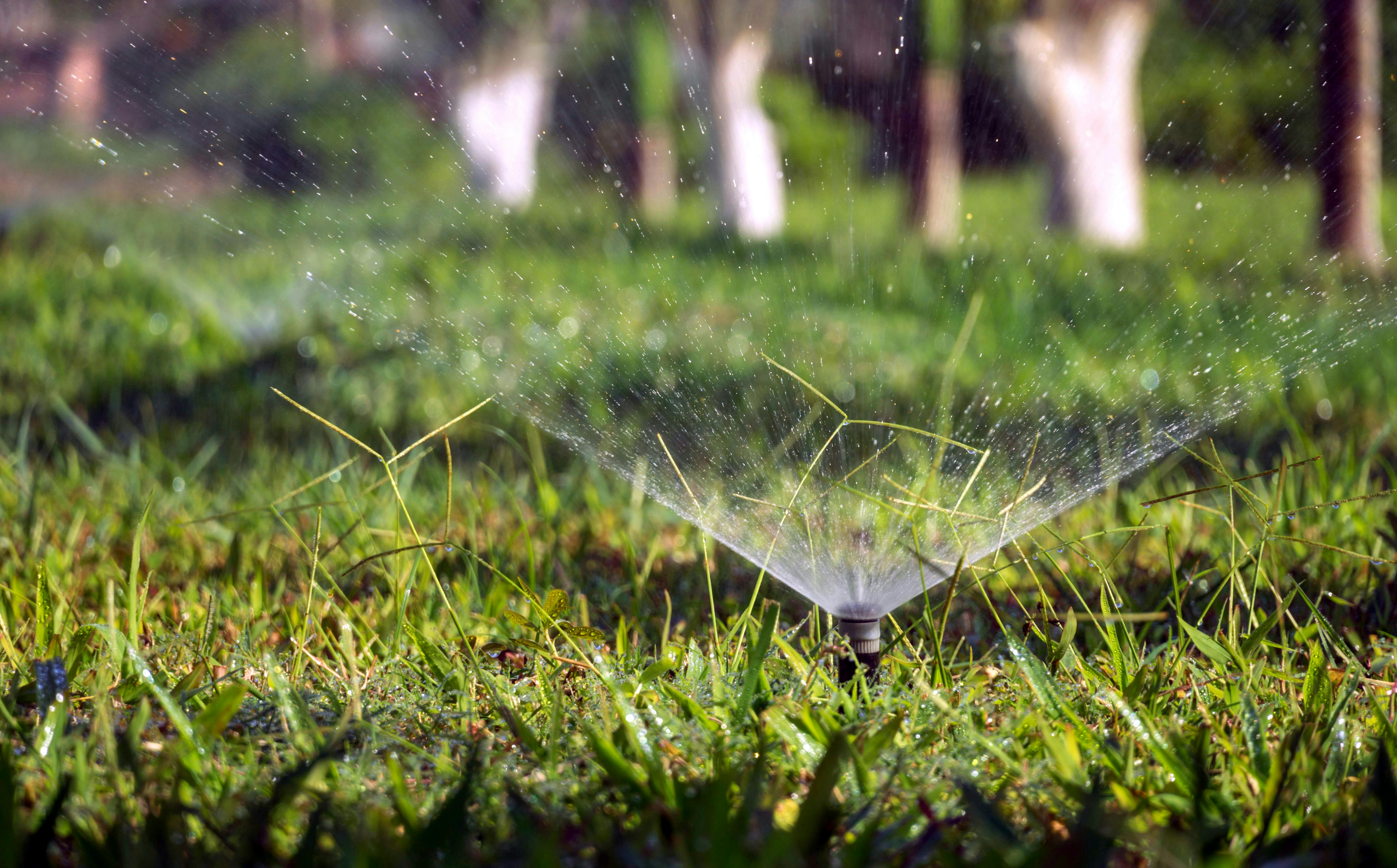 Sprinkler system watering green lawn